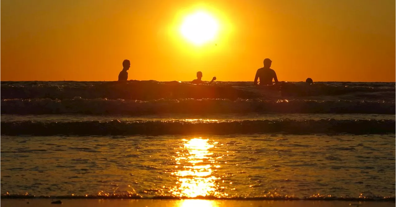 Australia's Oceans Reach Record High Temperatures, Threatening Marine Life