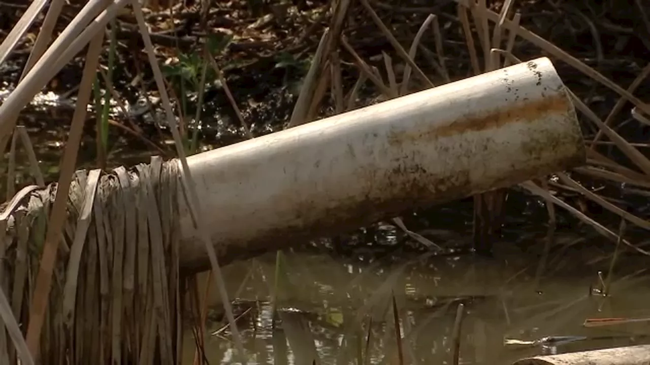 Harris County Sues Wastewater Treatment Facility Over Pollution Concerns