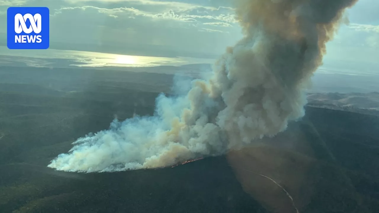 Wilmington bushfire burns 15 per cent of SA's Mount Remarkable National Park