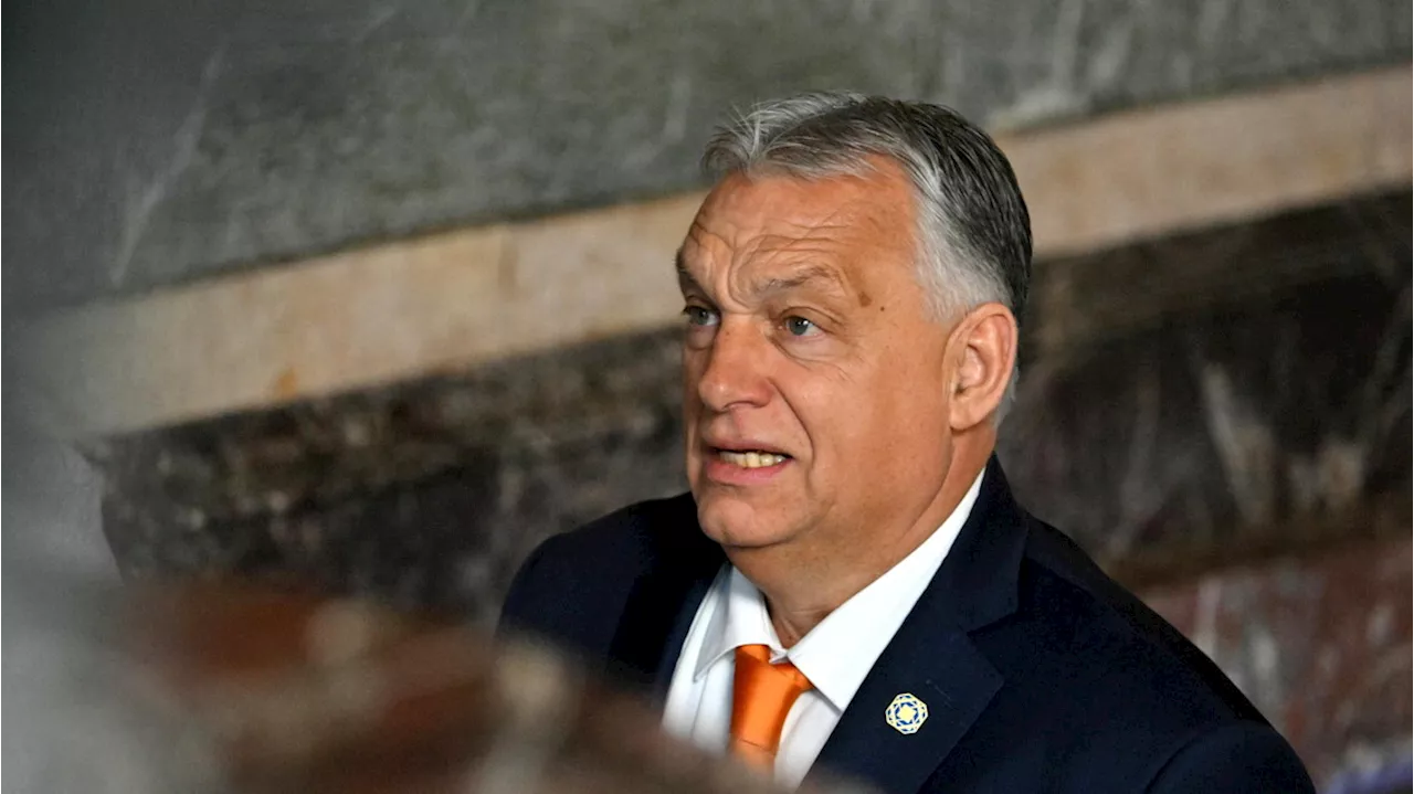 Orban: 'Eliminare la rete di Soros', conseguenze per le ONG finanziate dall'estero