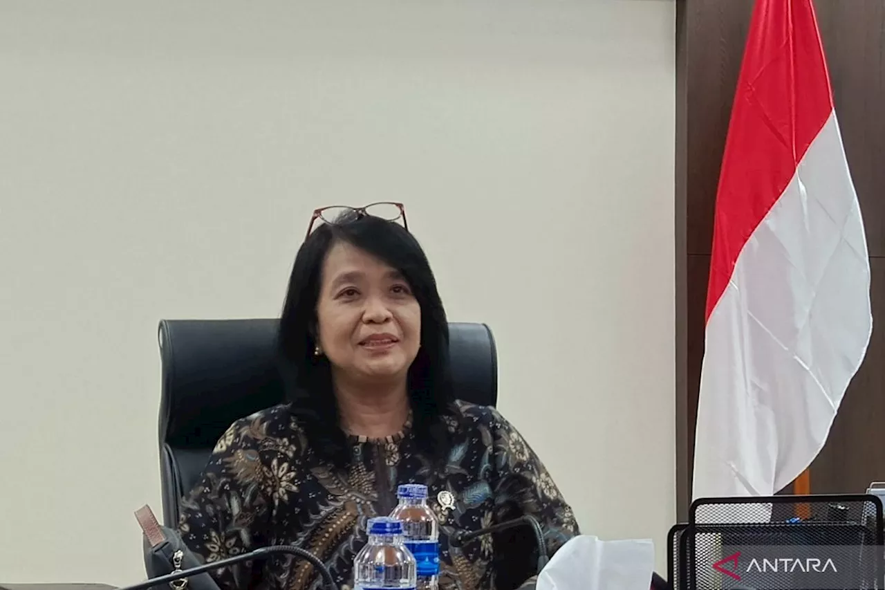 Wamen PU sebut pembangunan IKN berlanjut di area legislatif-yudikatif