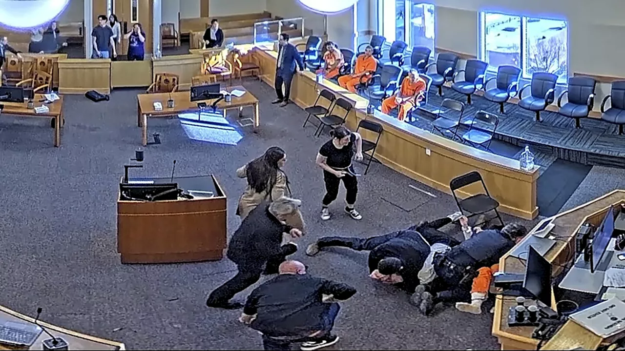 New Mexico courtroom devolves into brawl as 3 people rush defendant in homicide case