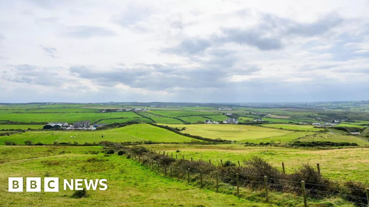 Northern Ireland farm land prices soar past £20,000 per acre