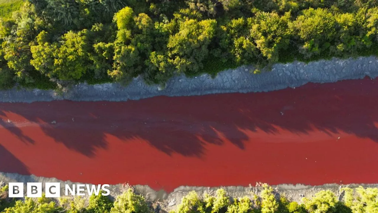 Argentina Canal Turns Red, Sparking Environmental Concerns