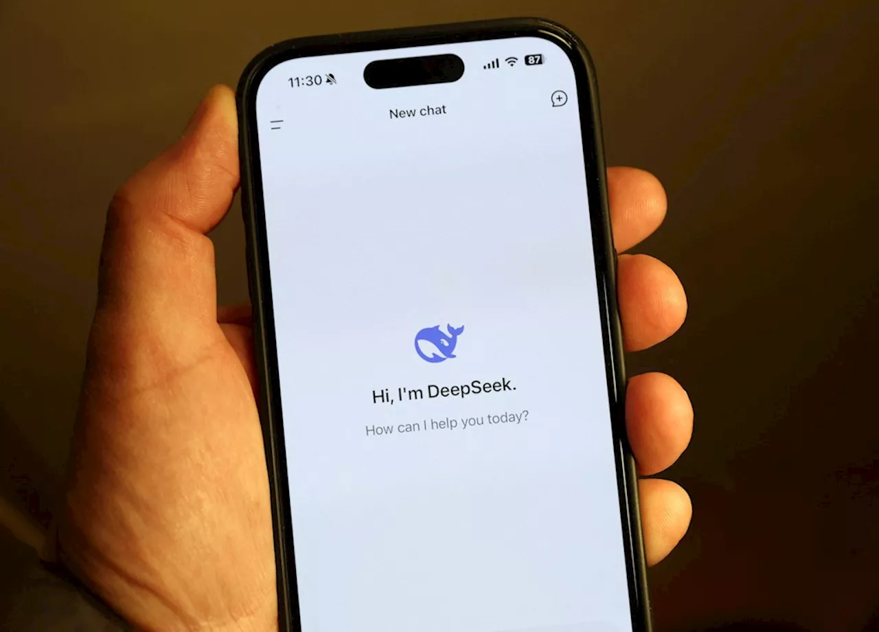 DeepSeek: Australien verbietet Chinas KI-Chatbot auf Regierungsgeräten