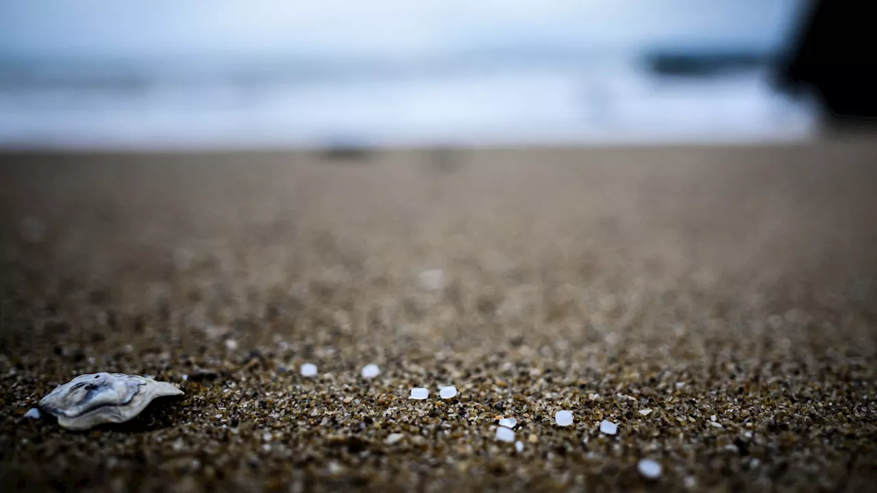 Des centaines de billes de plastique jonchent les plages de Névez