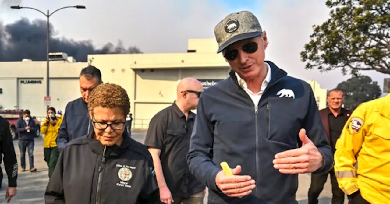 Gavin Newsom to Ban Plants Within 5 Feet of Homes in Fire-Prone Areas