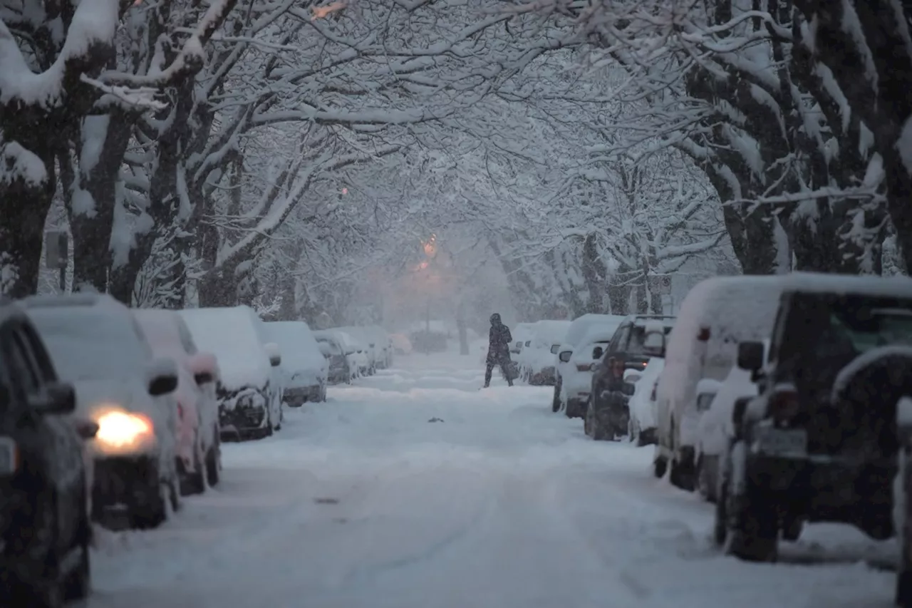 Metro Vancouver weather: Multiple chances for snow, frigid temps in forecast