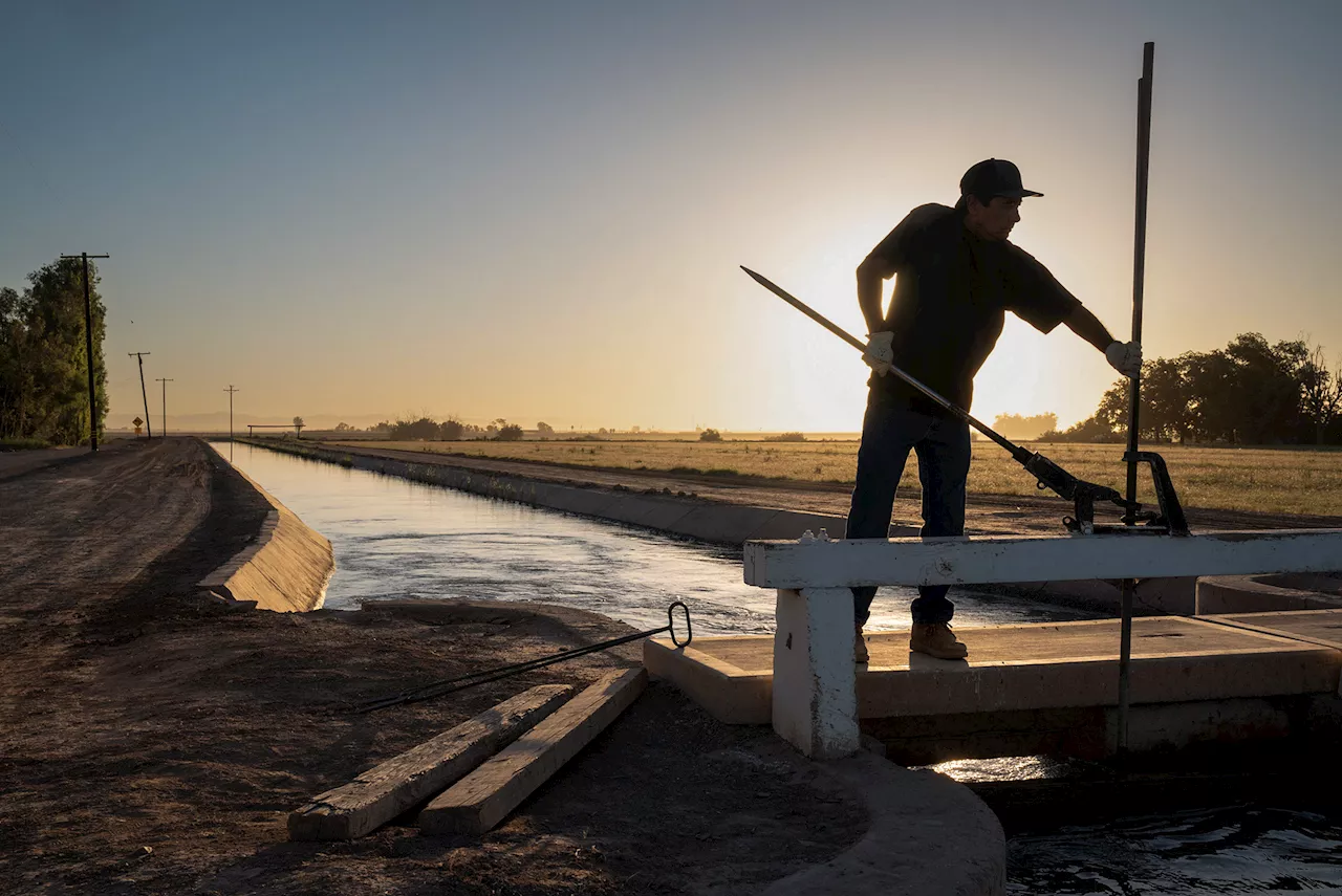 California's Water Wars: Trump's Legacy, a Thirsty Valley, and the Fight Over the Colorado River