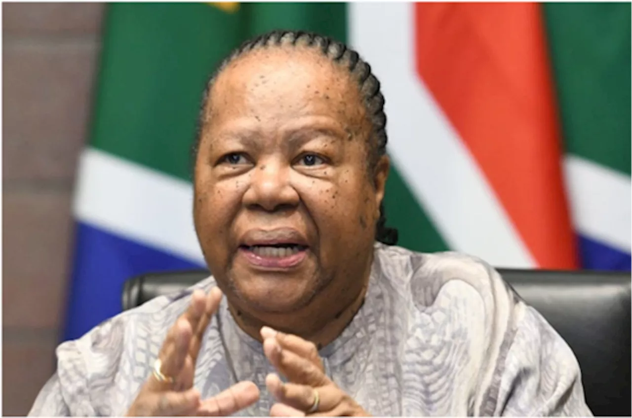 Let’s correct US misunderstandings on SA's policies