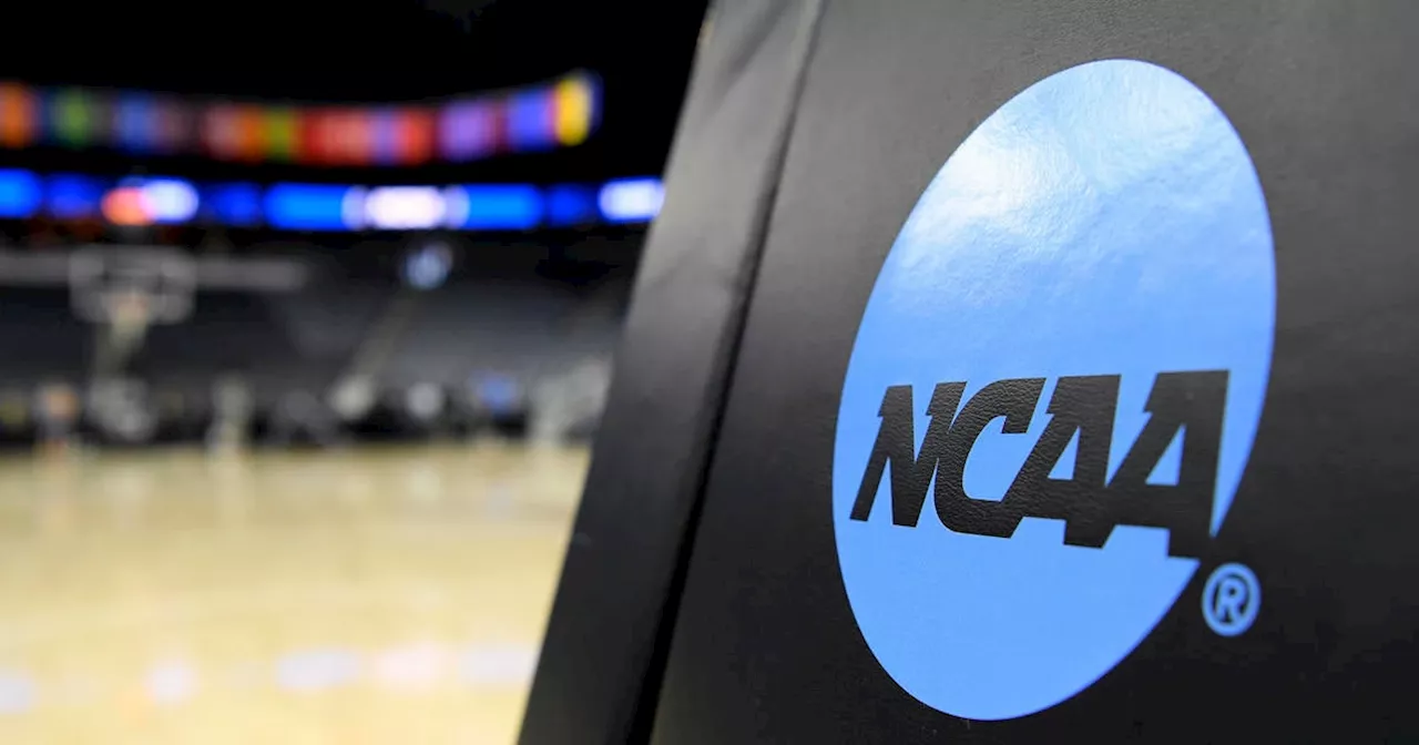 NCAA Updates Participation Policy for Transgender Student-Athletes Following Trump Order