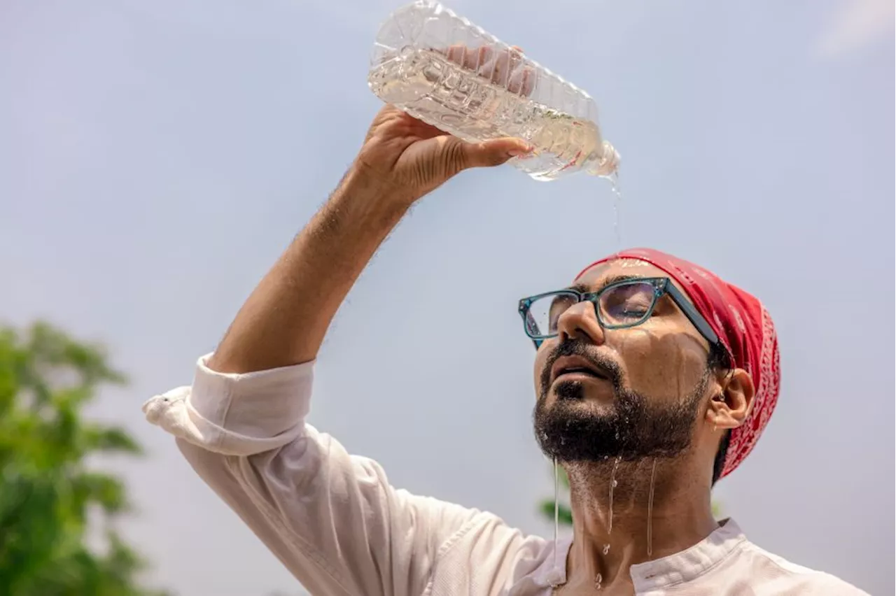 Janeiro Mais Quente da História: Impactos das Altas Temperaturas na Saúde