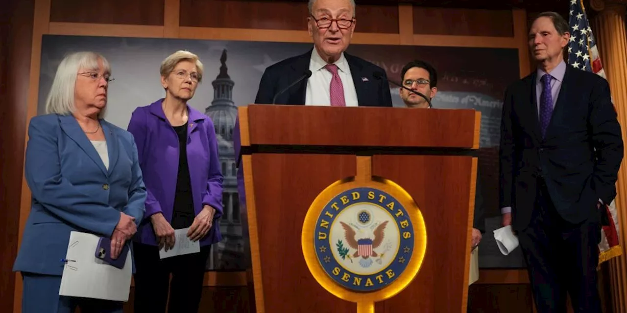 Senate Democrats Criticized for Failing to Obstruct GOP Agenda Despite Warnings of Constitutional Crisis