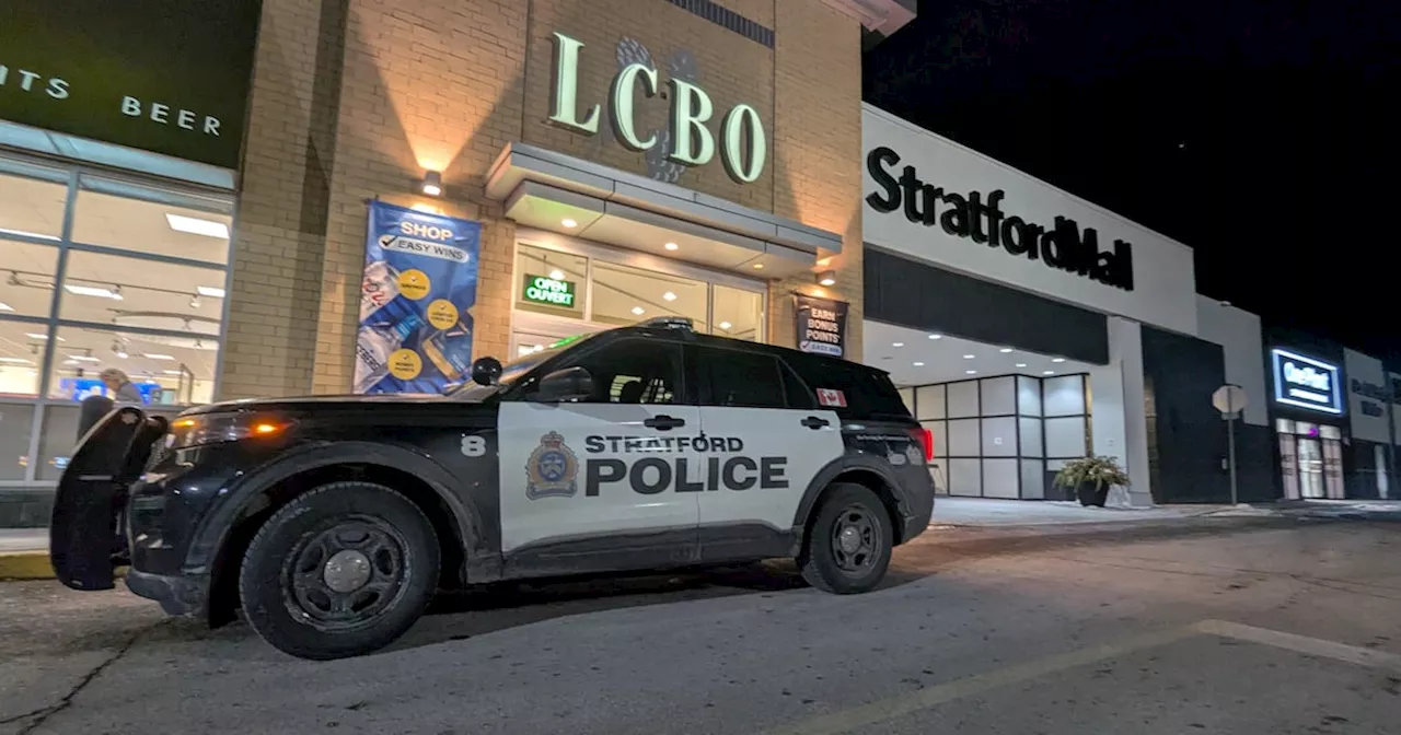 Three teens, one adult facing 55 total charges for Stratford Mall robbery