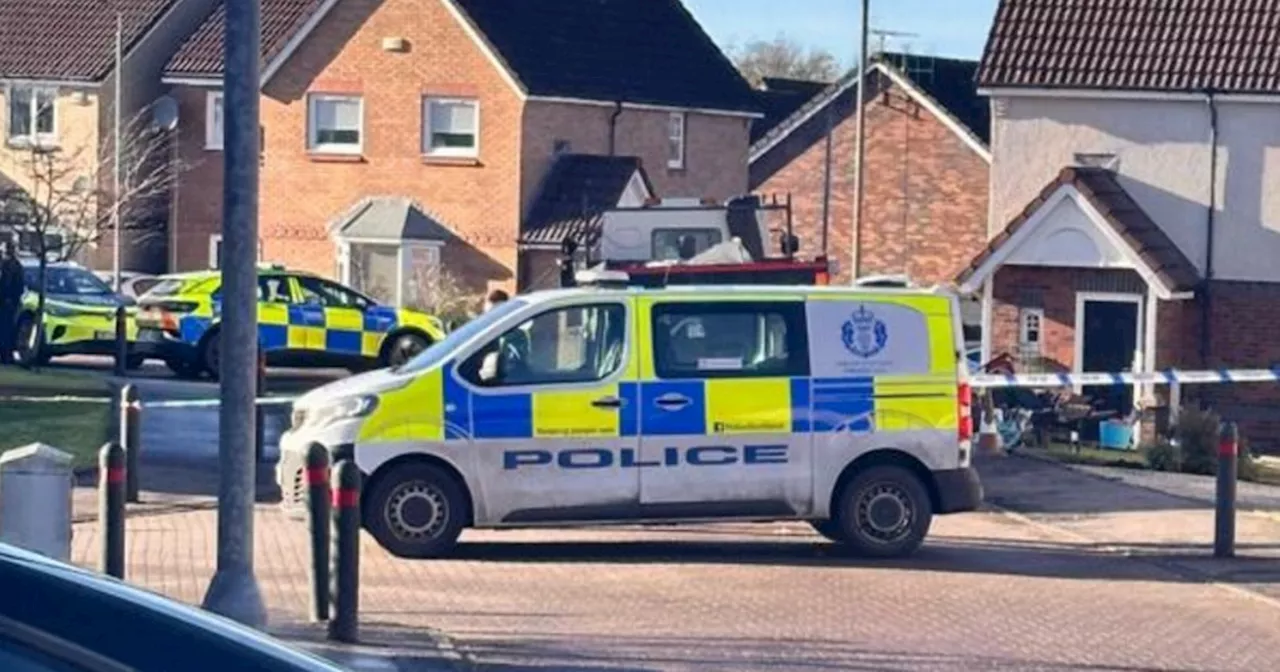 Police Investigate Disturbance and Crash in East Kilbride