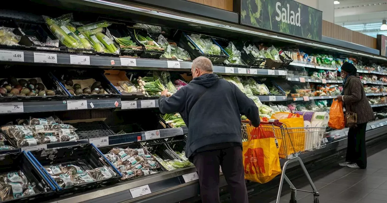 Toad Found Hiding in Bag of Parsnips at Sainsbury's