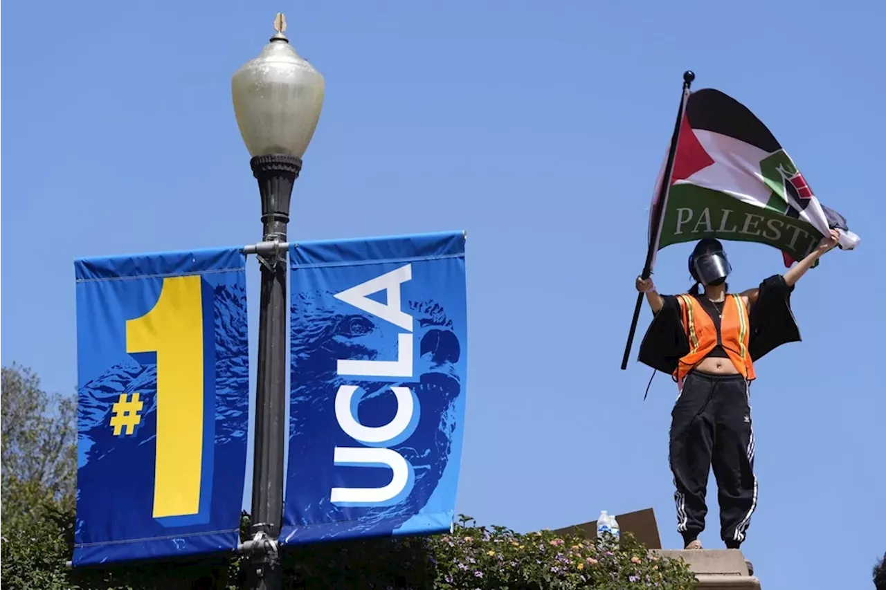 Pro-Palestinian Activists Stage Protest at UCLA Regent's Home