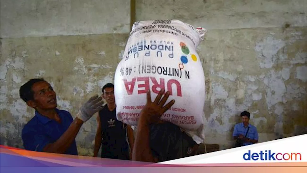 Gandeng BNI, Kemenkop Ubah Gapoktan Jadi Koperasi buat Salurkan Pupuk Subsidi