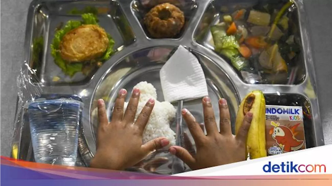 Stok Beras buat Makan Bergizi Gratis Harus Ditambah 4,5 Juta Ton