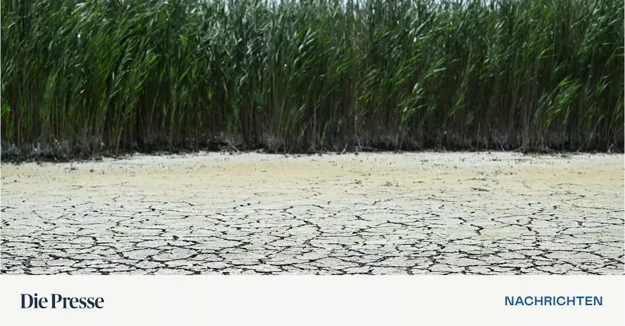 Trockenheit im Burgenland: Es geht um mehr als den Neusiedler See