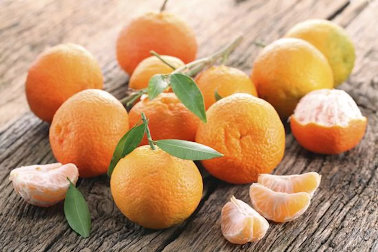 Mandarine ou Clémentine : Comment Faire la Différence ?