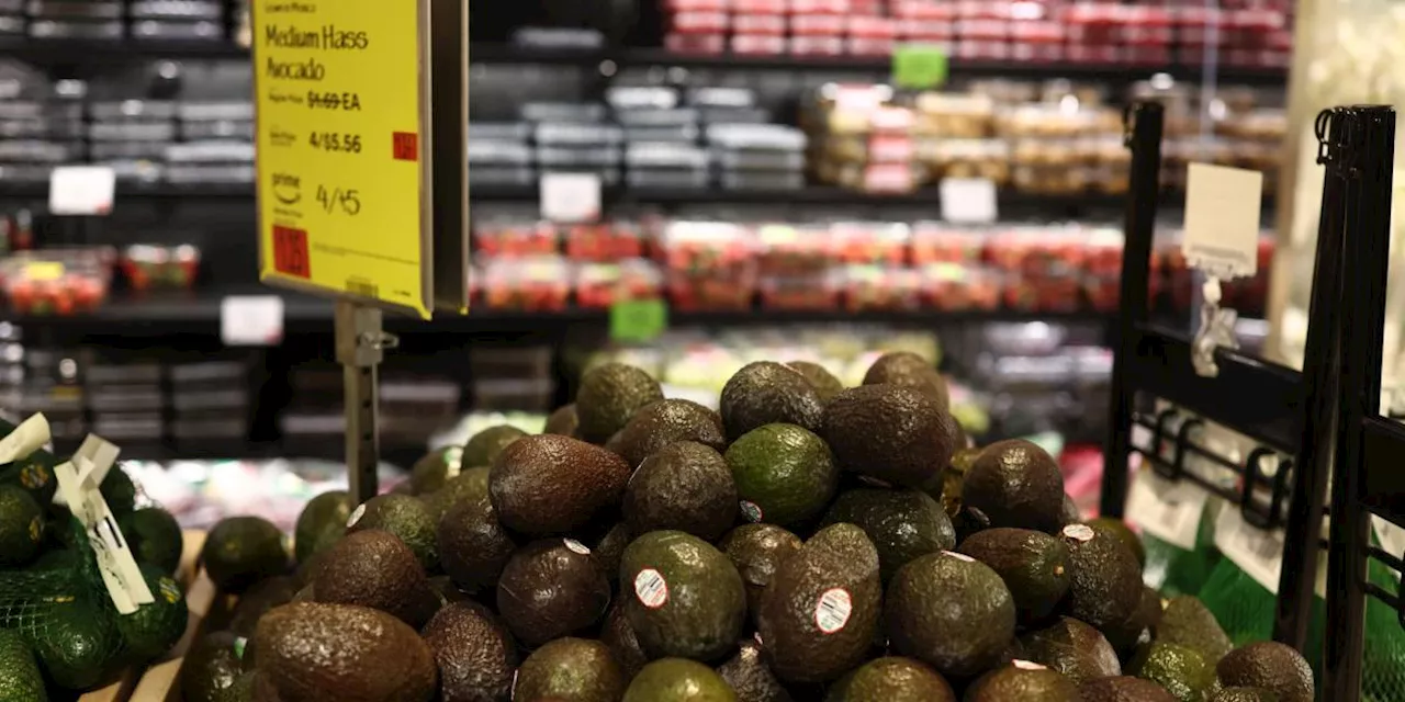 Aguacates mexicanos llegan a Estados Unidos a tiempo para el Super Bowl a pesar de temores de aranceles