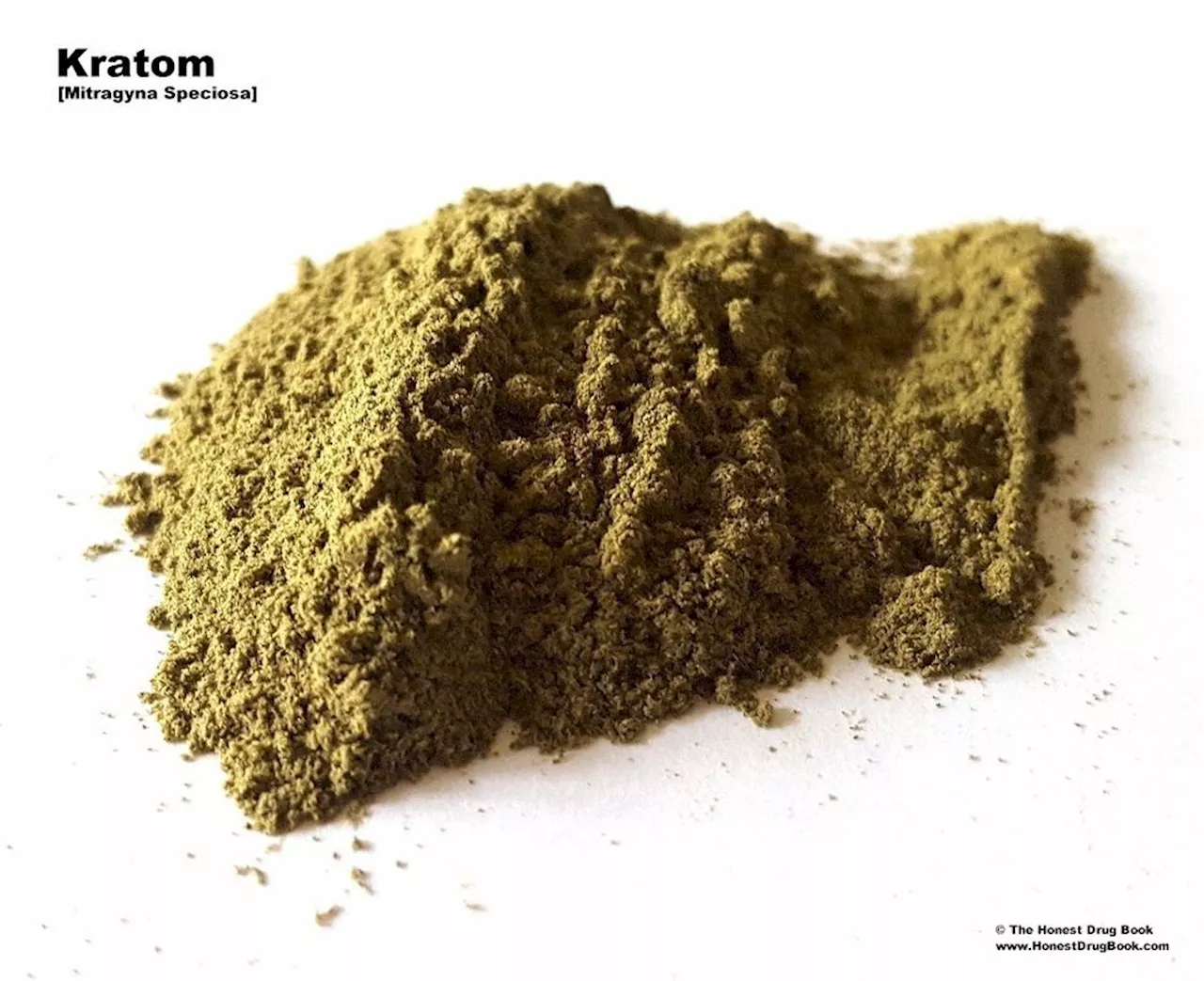 Regering narkotikaklassar kratom