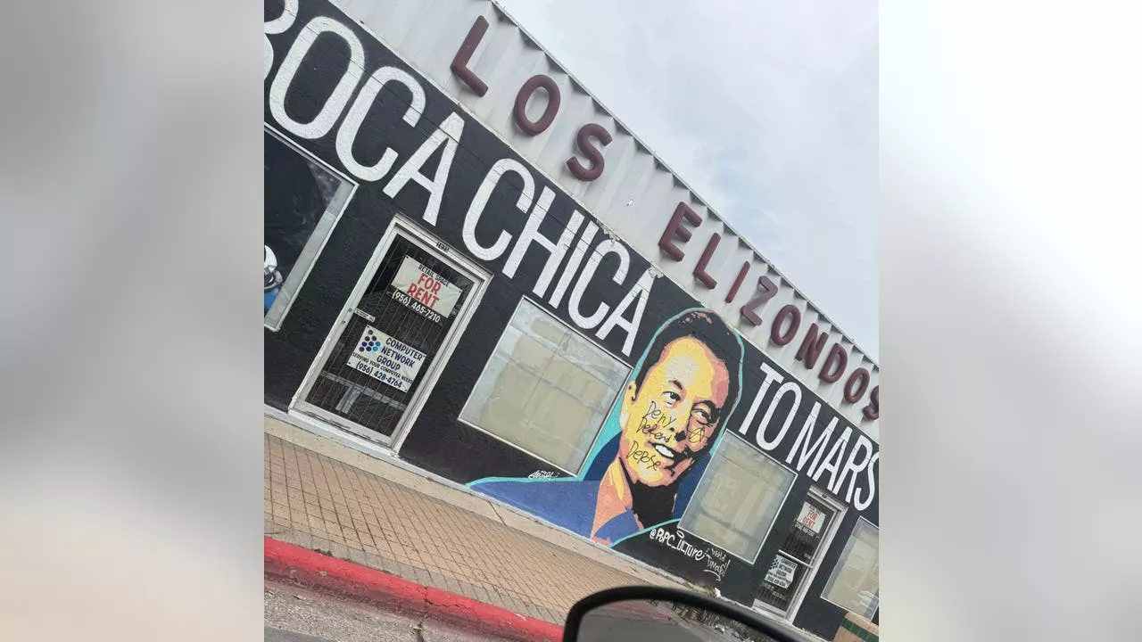 Elon Musk Mural Vandalized with Anti-Establishment Slogan