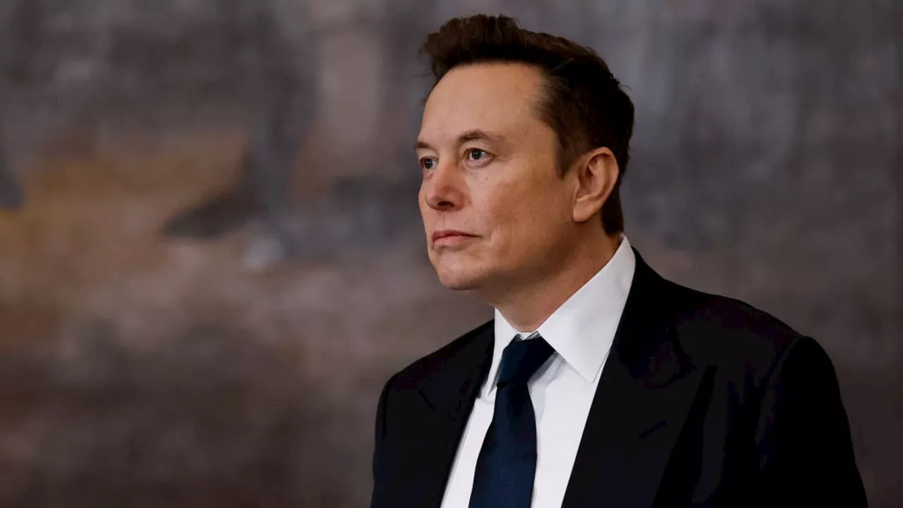 Lawmakers Seek to Limit Elon Musk's Access to Treasury Data