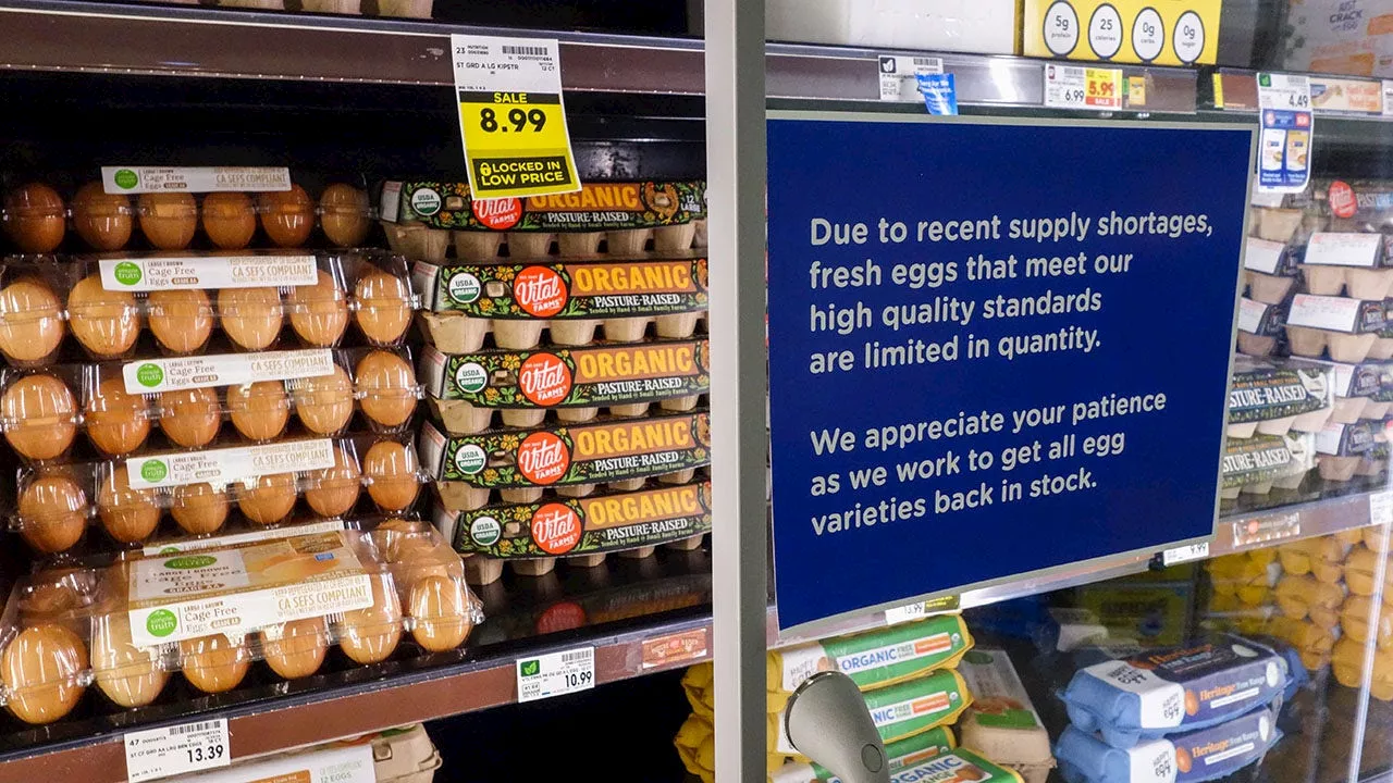 Egg Prices Flip in NYC: Organic Now Cheaper Than Conventional Amid Shortage