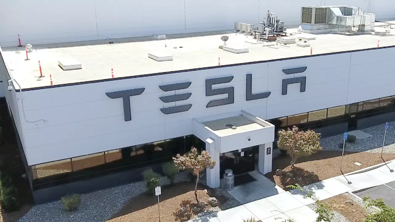 Batterie, Tesla Megafactory Shanghai: l'11 febbraio il via