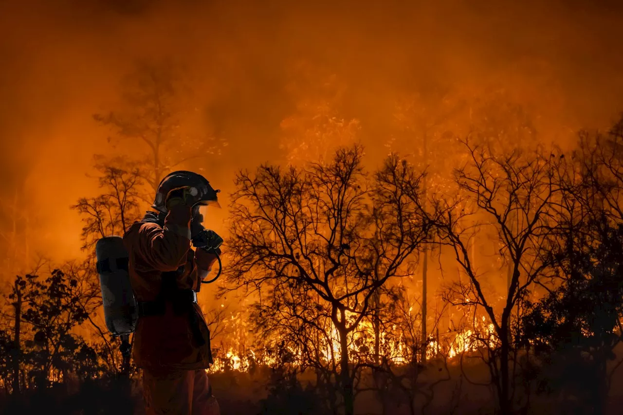 California Wildfires: Trump's Hiring Freeze Leaves State High and Dry