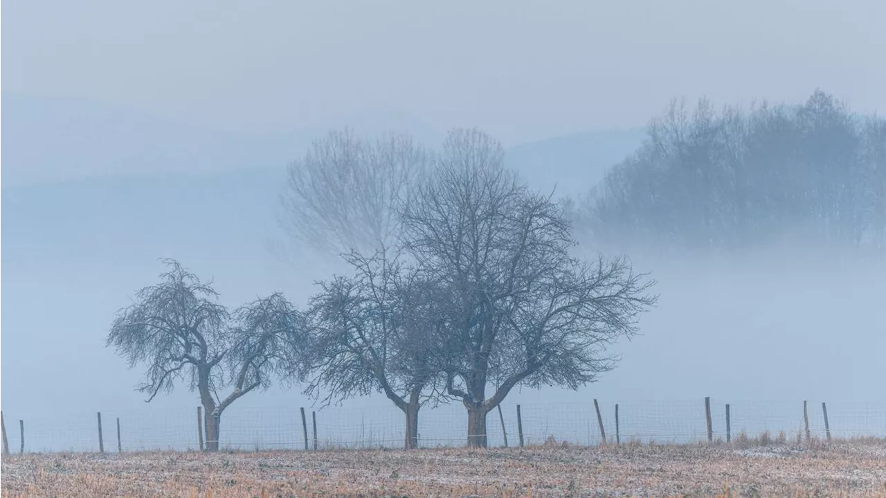 Wechselhafter Wettermix am Wochenende in Österreich