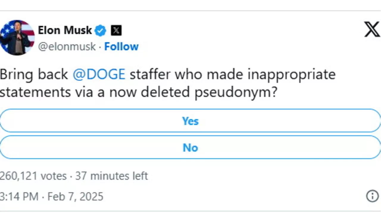 Elon Musk lancia referendum su ex collaboratore del Dipartimento dell'efficienza governativa