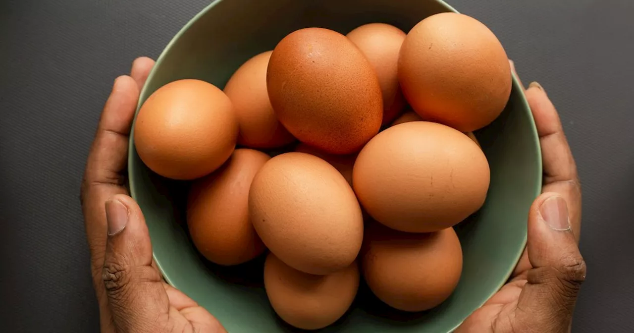 Flipping Eggs Before Storage Could Extend Their Shelf Life