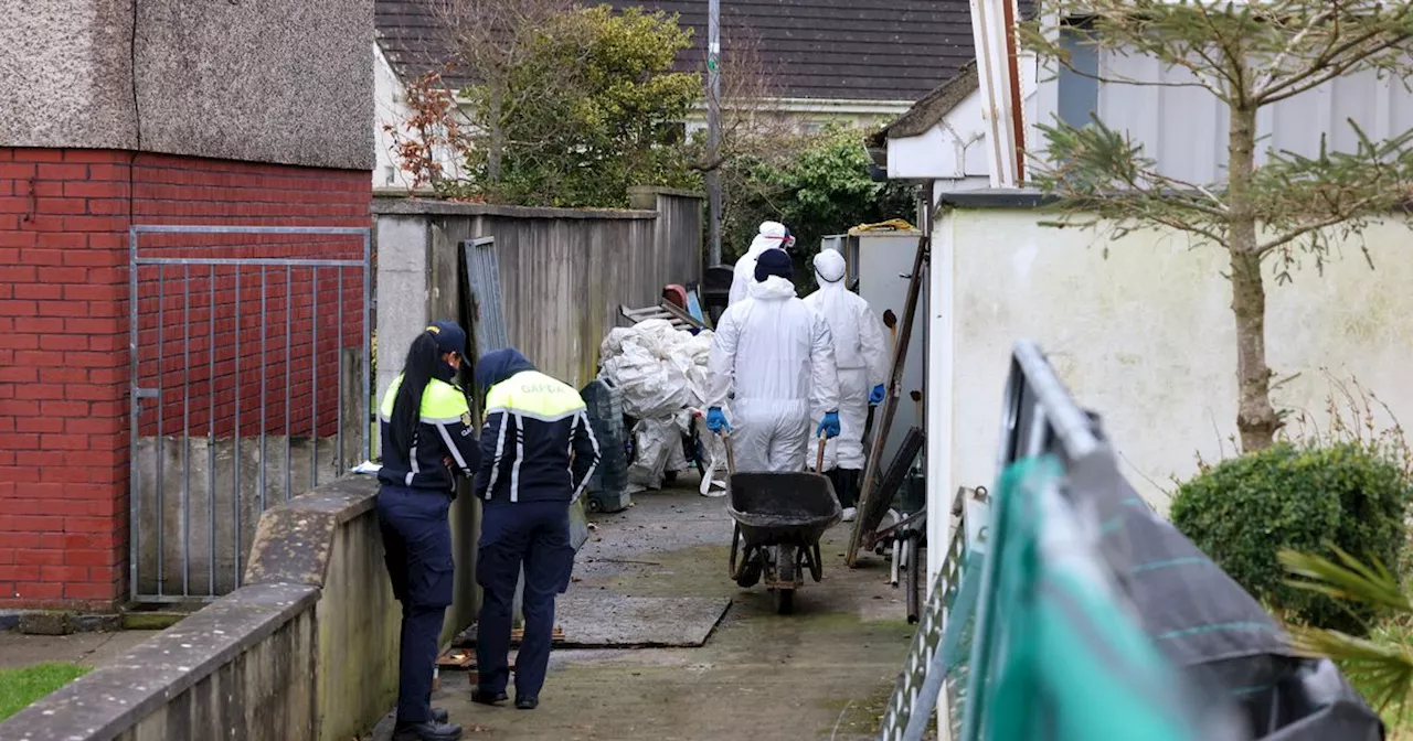 Elizabeth Clarke Search: Mother's Heartbreaking Tribute as Gardai Dig for Remains