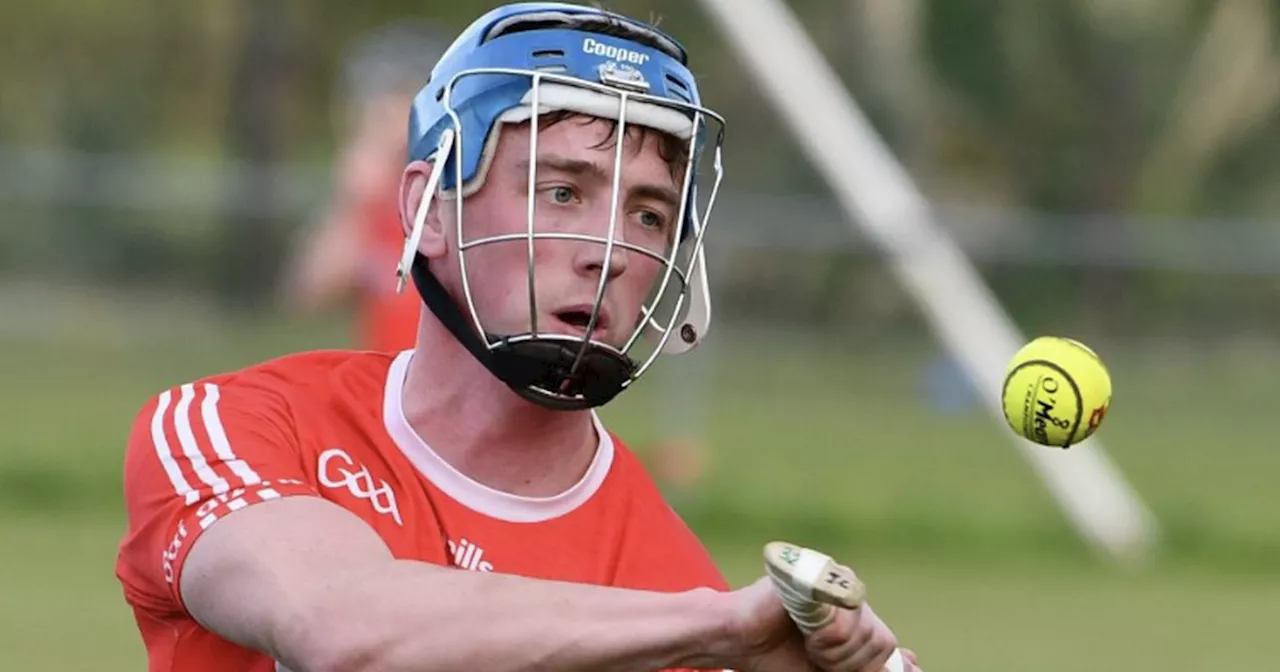 Shinrone GAA Club Mourns the Sudden Loss of Young Hurler Joe Cleary