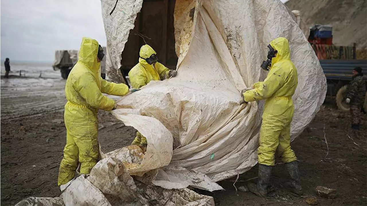 На южном побережье Черного моря обнаружены выбросы мазута