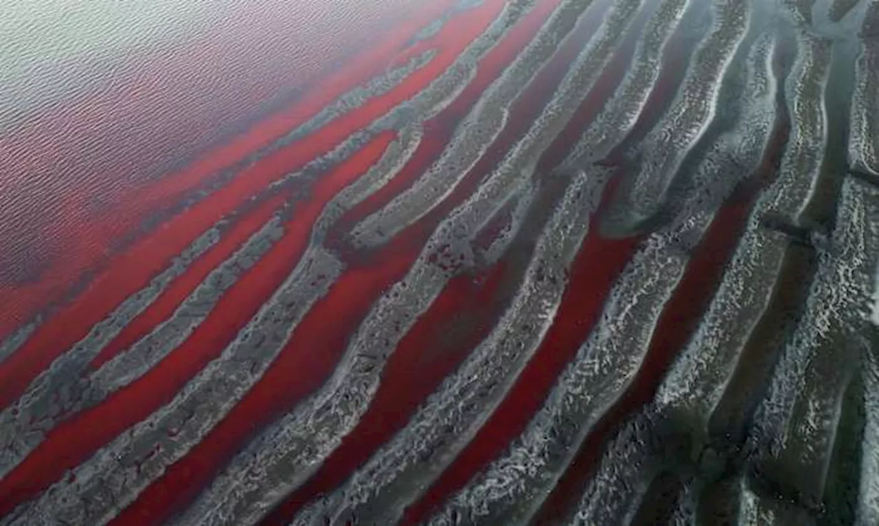 Red-Dyed Stream in Argentina Sparks Fears of Chemical Dumping