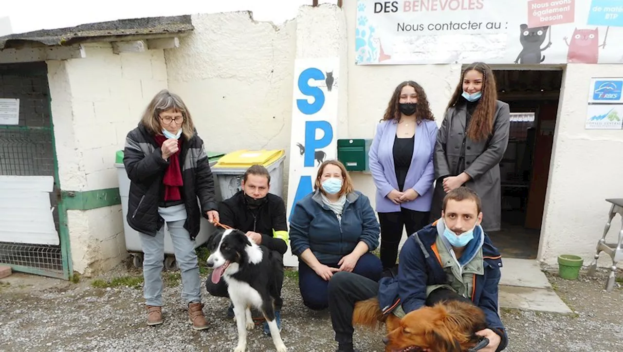 SPA de Tarbes : la générosité des habitants d'Hautes-Pyrénées apporte un soulagement