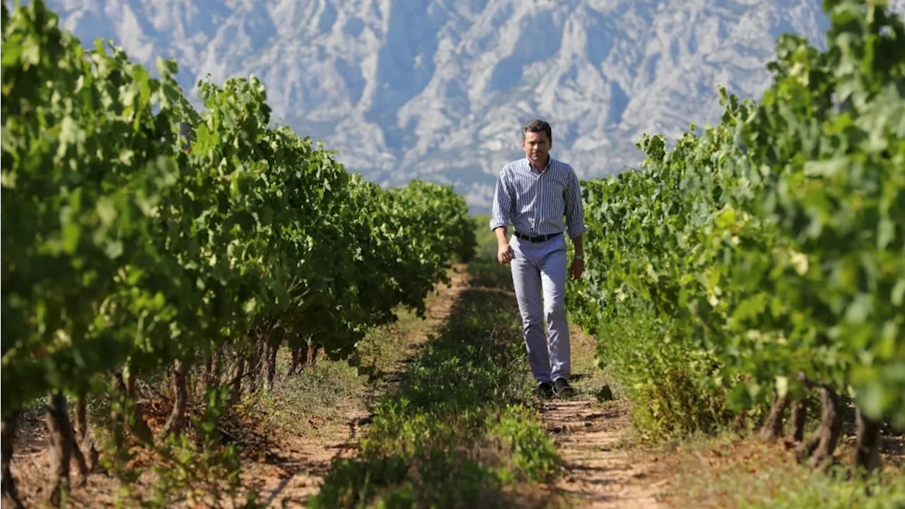 Pays d'Aix : les vins de Sainte-Victoire, premier cru des côtes de Provence