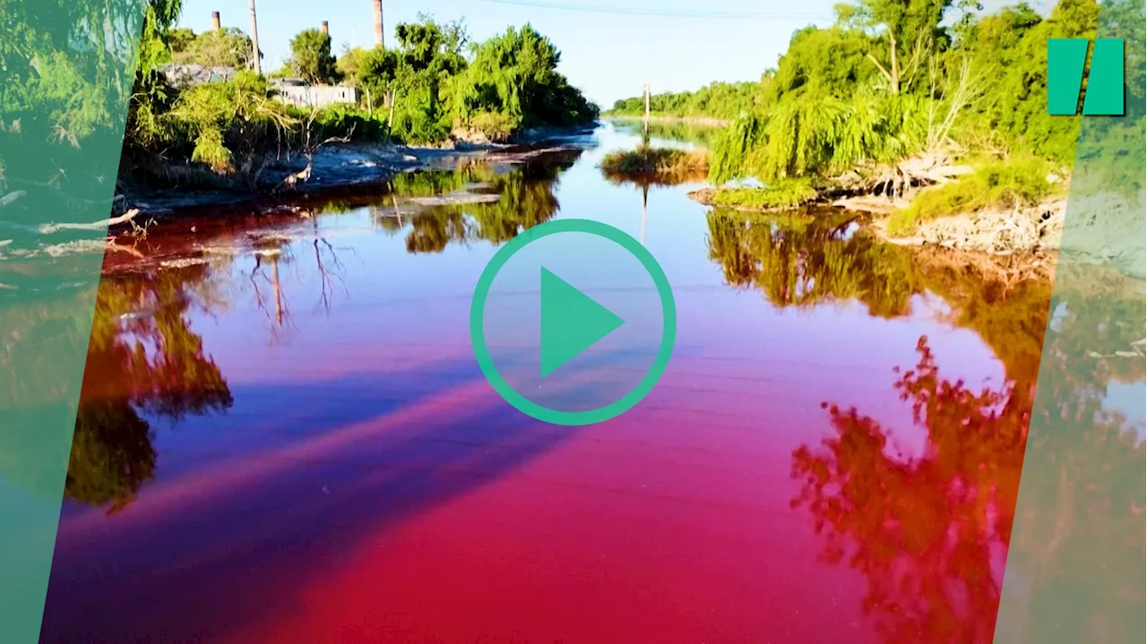 À Buenos Aires, le ruisseau Sarandi qui a viré couleur rouge carmin inquiète les habitants