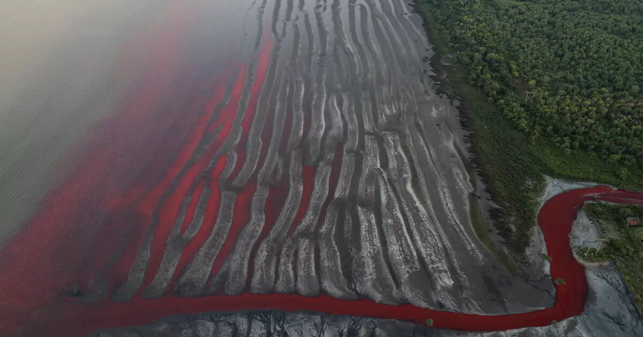 La Rivière Sarandi près de Buenos Aires se Teint en Rouge, les Riverains Pointent du Doigt vers la Pollution Industrielle