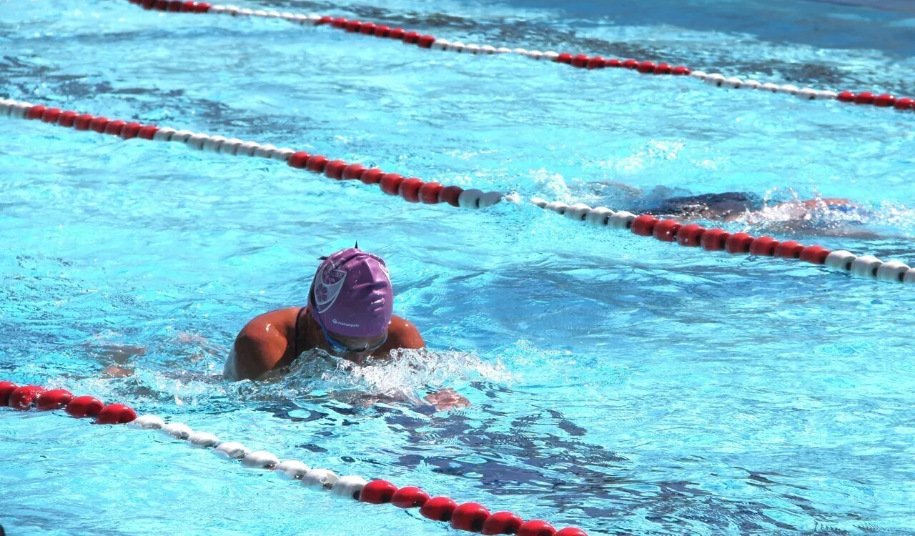 Plan Piscine : le grand plongeon pour Wattrelos, ce sera pour 2028 !