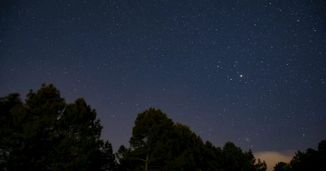 Witness the Rare Sight of All Seven Planets Aligned in the Night Sky