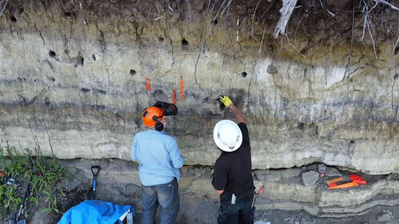 11,000-year-old settlement in Canada could rewrite history of Indigenous civilizations in North America