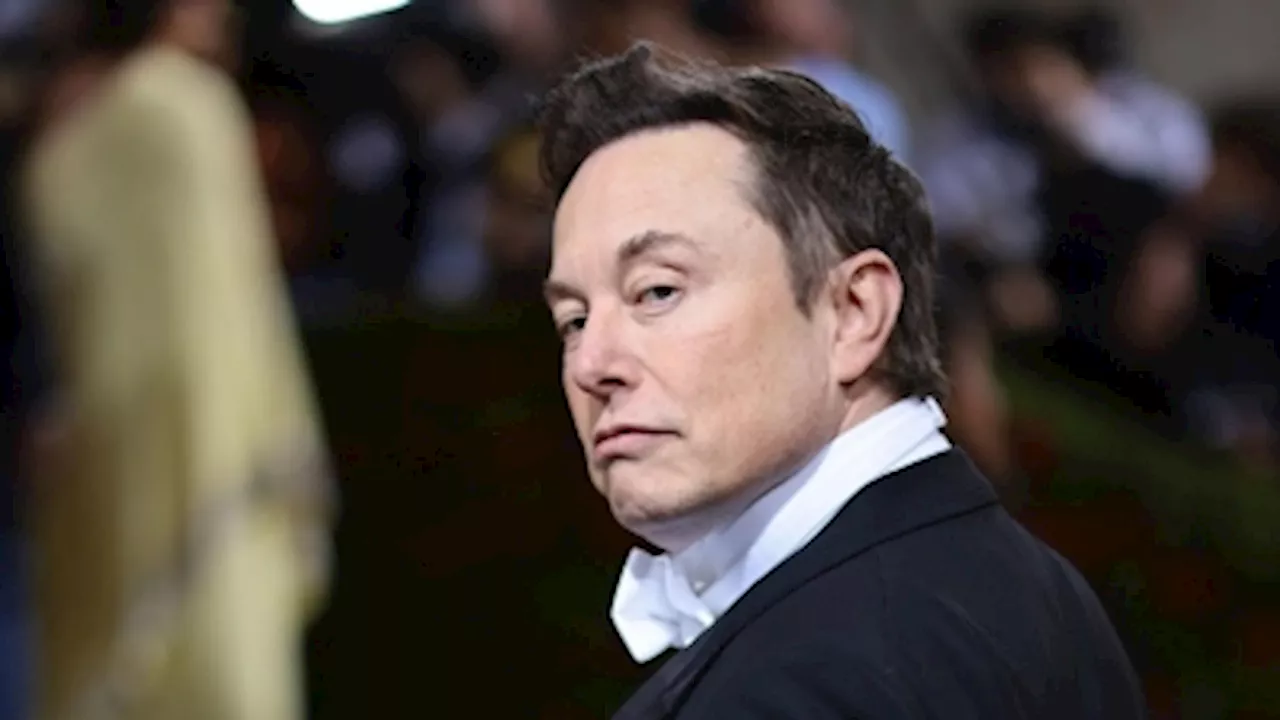 Judge Halts Musk's Plan to Slash US Government Workforce