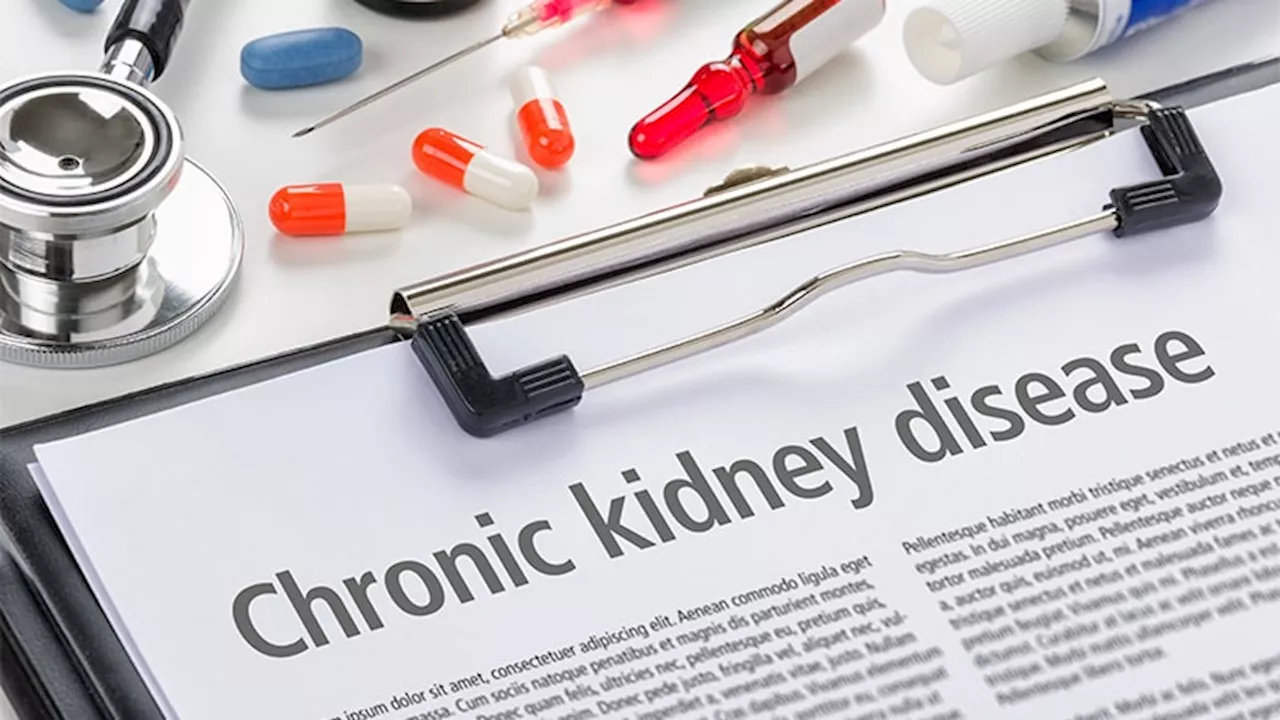 Risk-Directed Management Key in Optimizing CKD Therapy