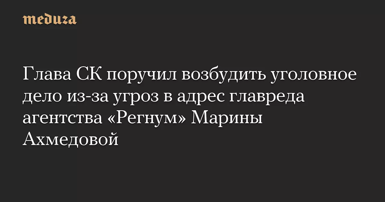 Глава СК поручил возбудить уголовное дело из-за угроз в адрес главреда агентства «Регнум» Марины Ахмедовой