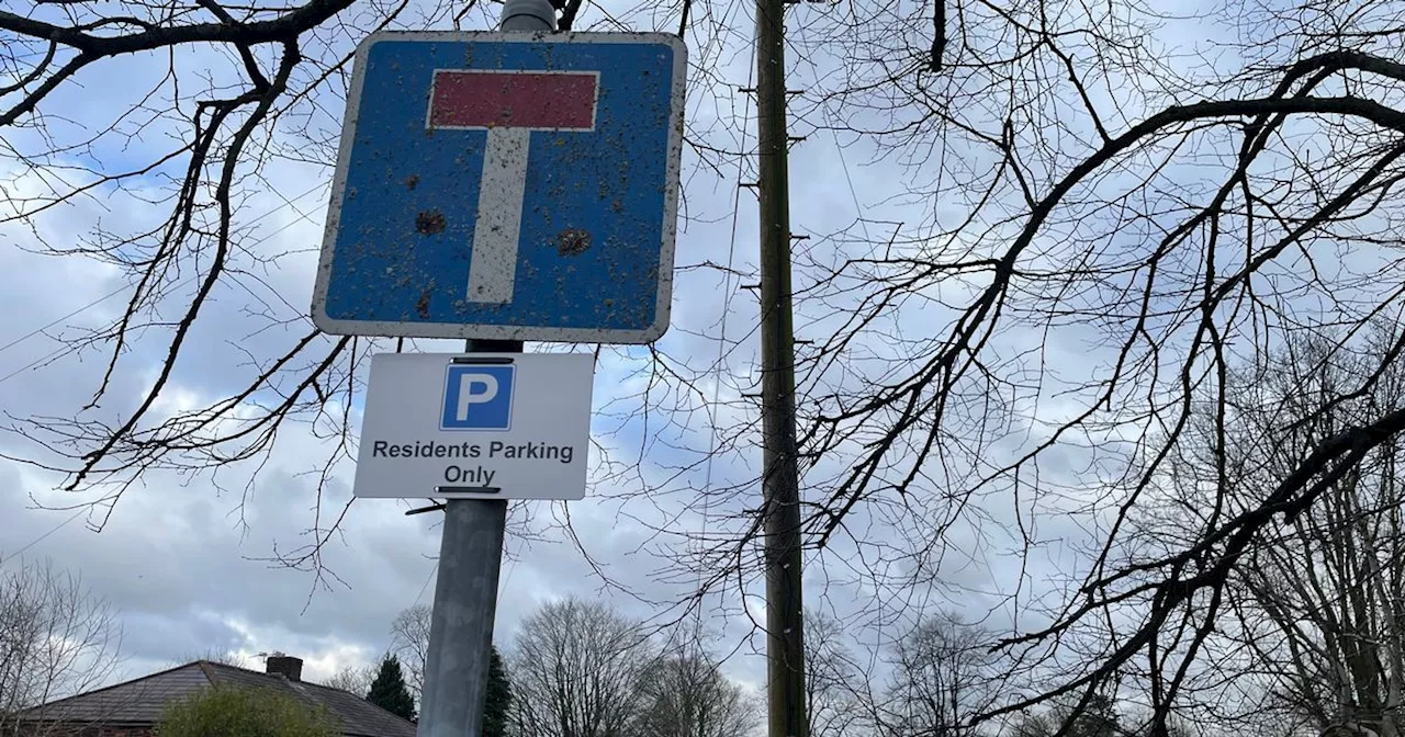 Mysterious signs appear on street, but nobody knows who put them there